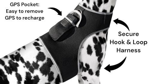 Rechargeable Universal Dog Collar Tracking Device Exact Pet Surveillance System Size:XS